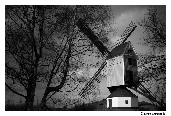 Molen