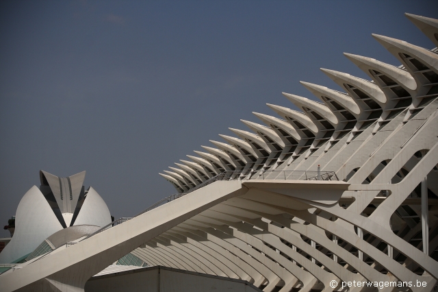 Museo de las Ciencias Príncipe Felipe 