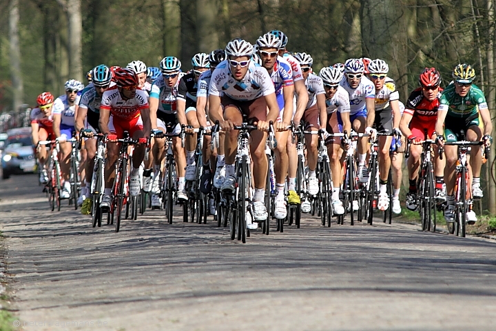 Scheldeprijs 2011