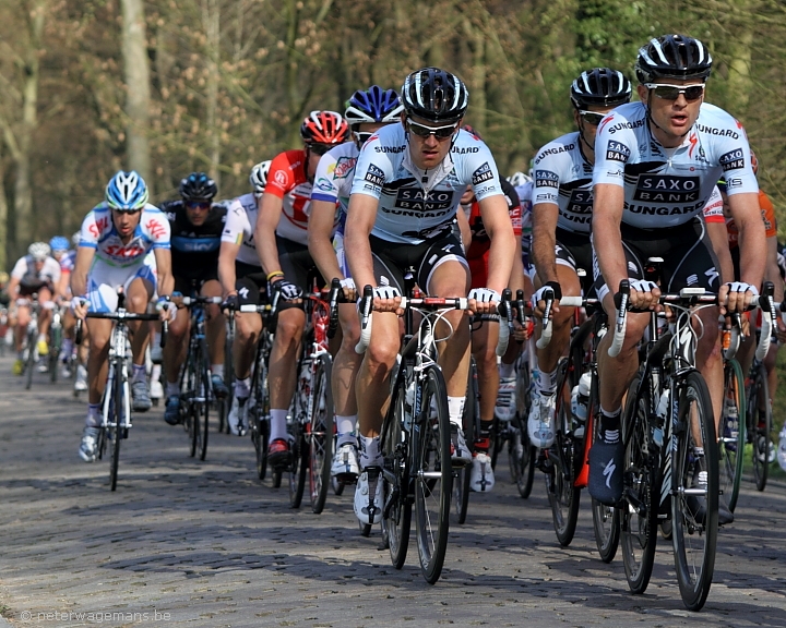 Scheldeprijs 2011