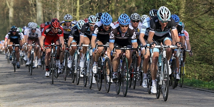 Scheldeprijs 2011