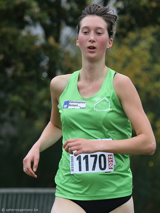 Veldloop Bonheiden