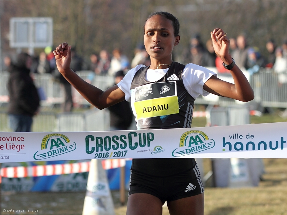 CrossCup in Hannuit